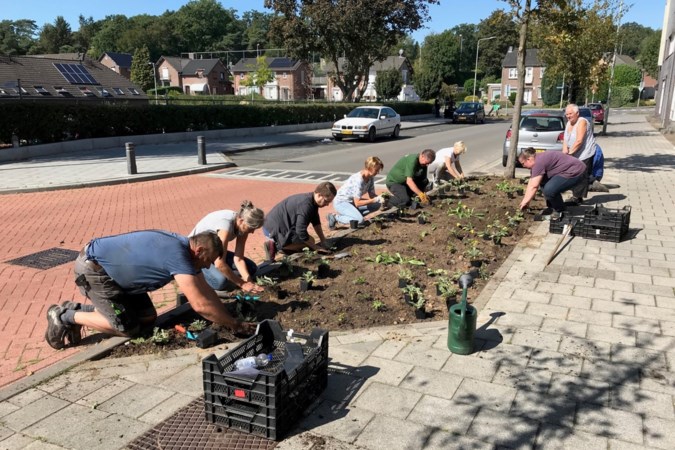 Landgraafs project Ikgroenhet dingt mee naar landelijke prijzen